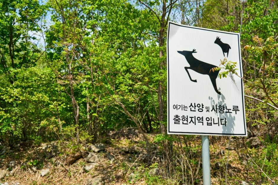 화천 백암산 케이블카 이미지 6