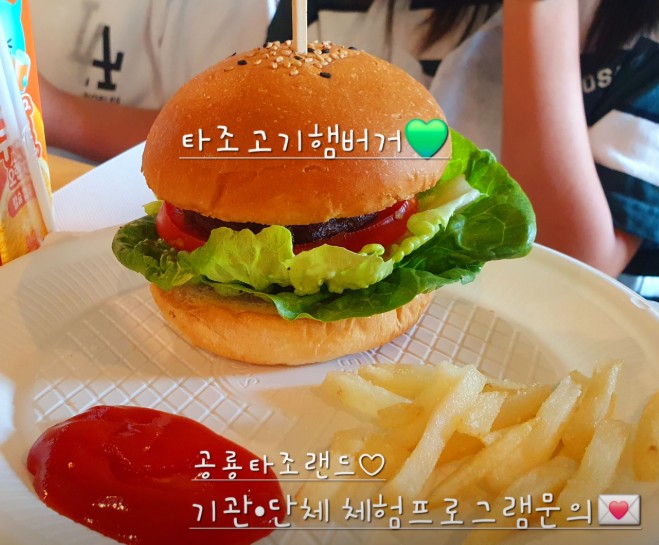 고성 공룡타조랜드 이미지 8