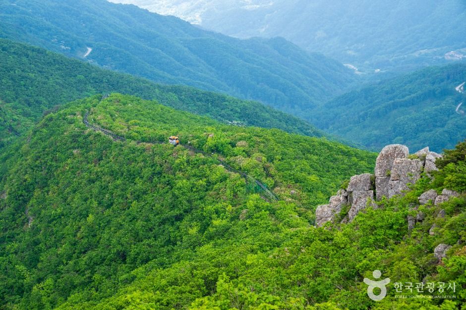 함양 대봉스카이랜드 모노레일 앤 짚라인 이미지 4