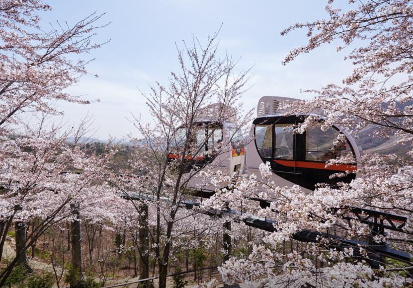 광주 화담숲 모노레일 이미지 7