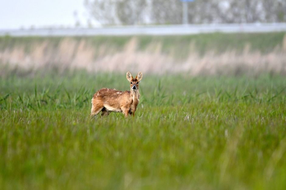 화천 백암산 케이블카 이미지 5