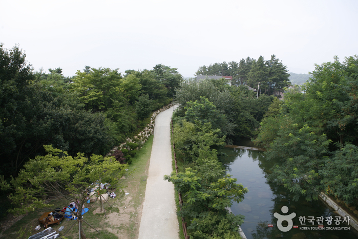 영암 월출산 기찬랜드 이미지 7