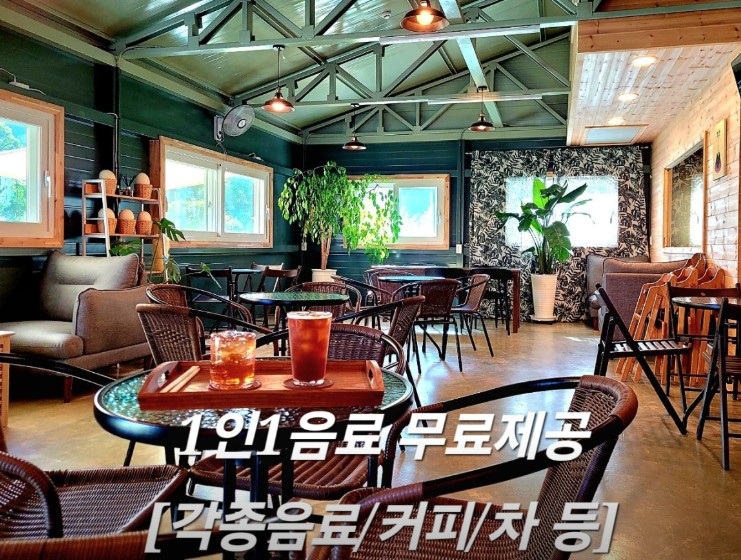 고성 공룡타조랜드 이미지 7