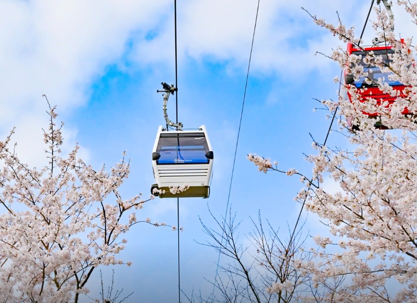 거제 파노라마 케이블카 이미지 6