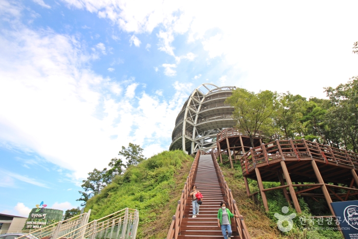 단양 만천하 짚와이어 이미지 3