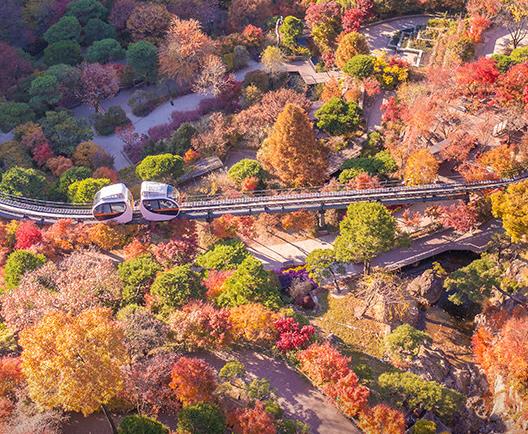 광주 화담숲 모노레일 이미지 8