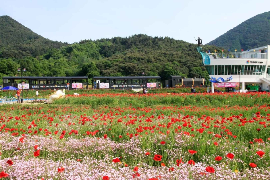 하동 레일파크 이미지 8