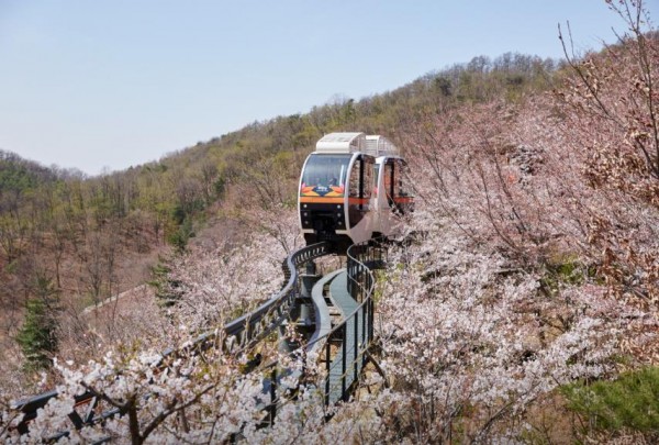 광주 화담숲 모노레일 썸네일