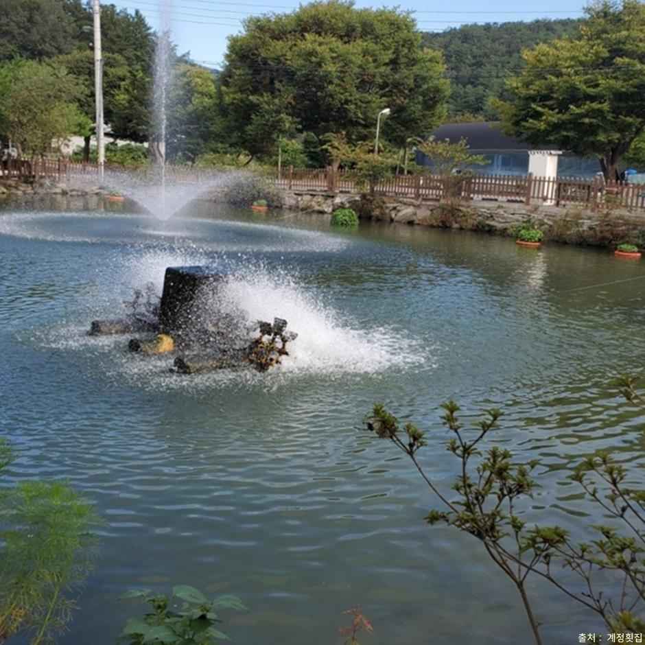 계정횟집 이미지 5