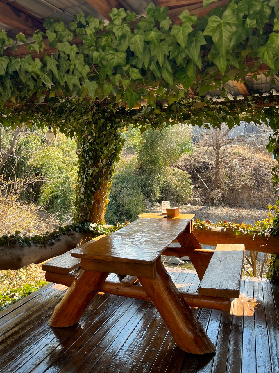 팔공산 토향 이미지 3