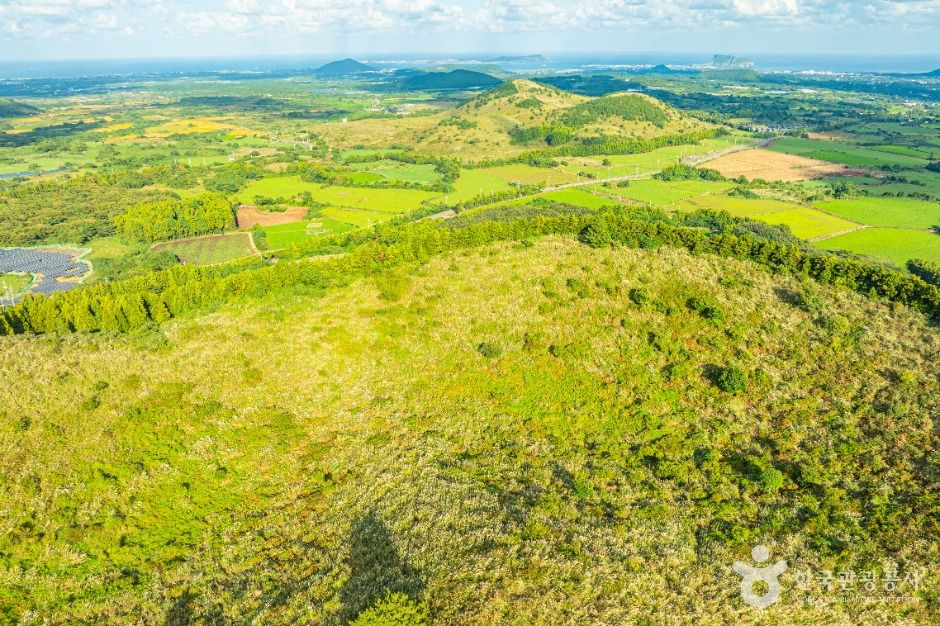 제주 손지오름 이미지 7