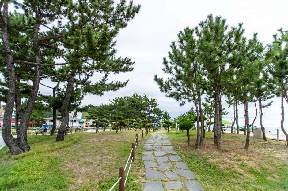 강릉 모래시계공원 이미지 5