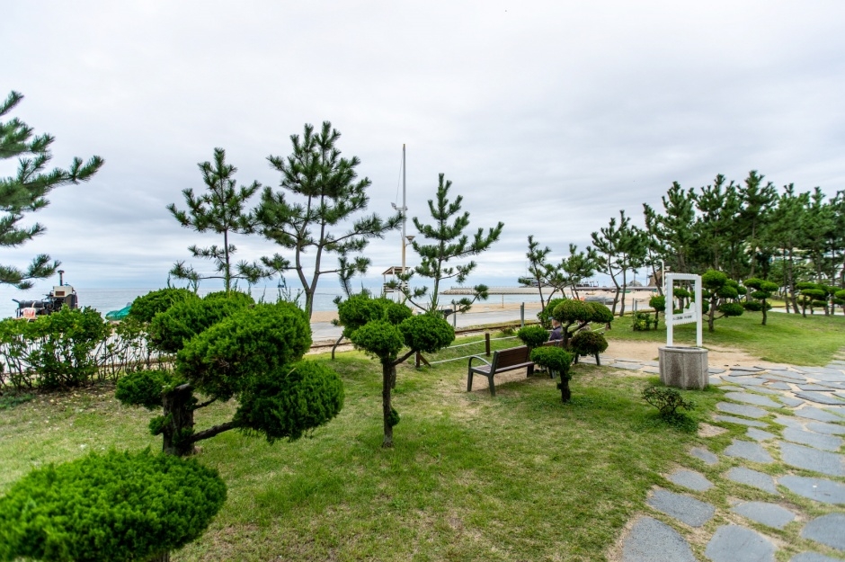 강릉 모래시계공원 이미지 9