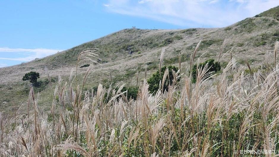 합천 황매산 억새군락지 이미지 7