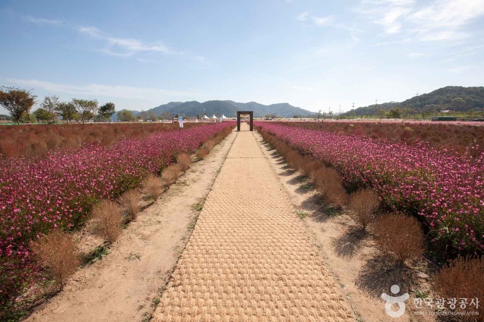 호국의병의숲 친수공원 이미지 5