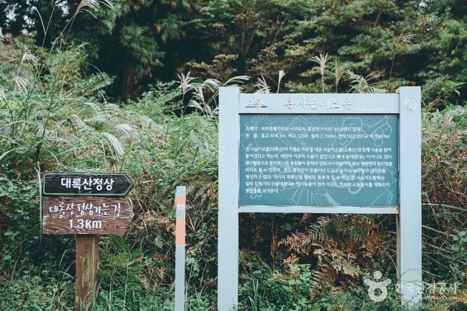 대록산(큰사슴이오름) 이미지 4