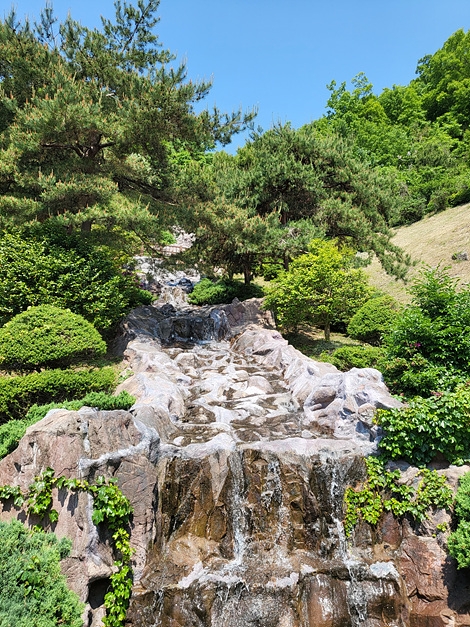 숲쟁이꽃동산 이미지 2