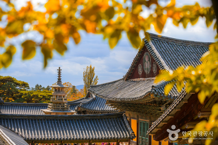 경주 불국사 [유네스코 세계유산] 이미지 1