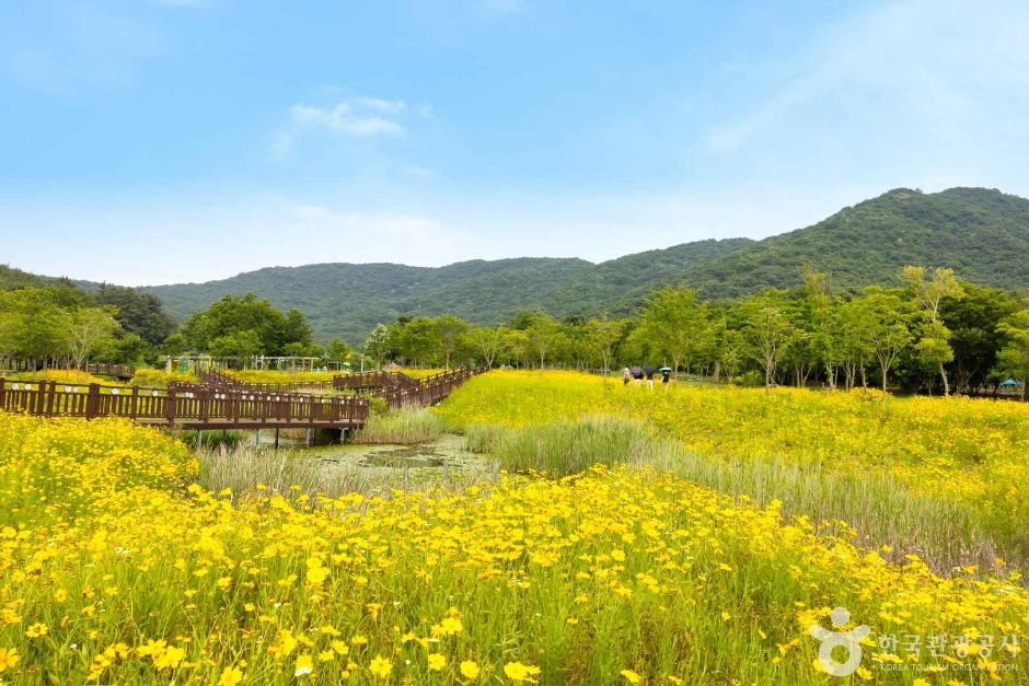 고창 운곡람사르습지 이미지 5
