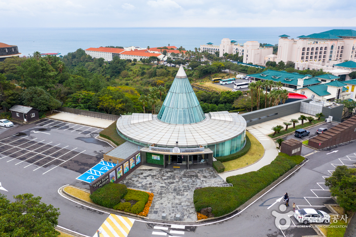 테디베어뮤지엄 제주 이미지 1