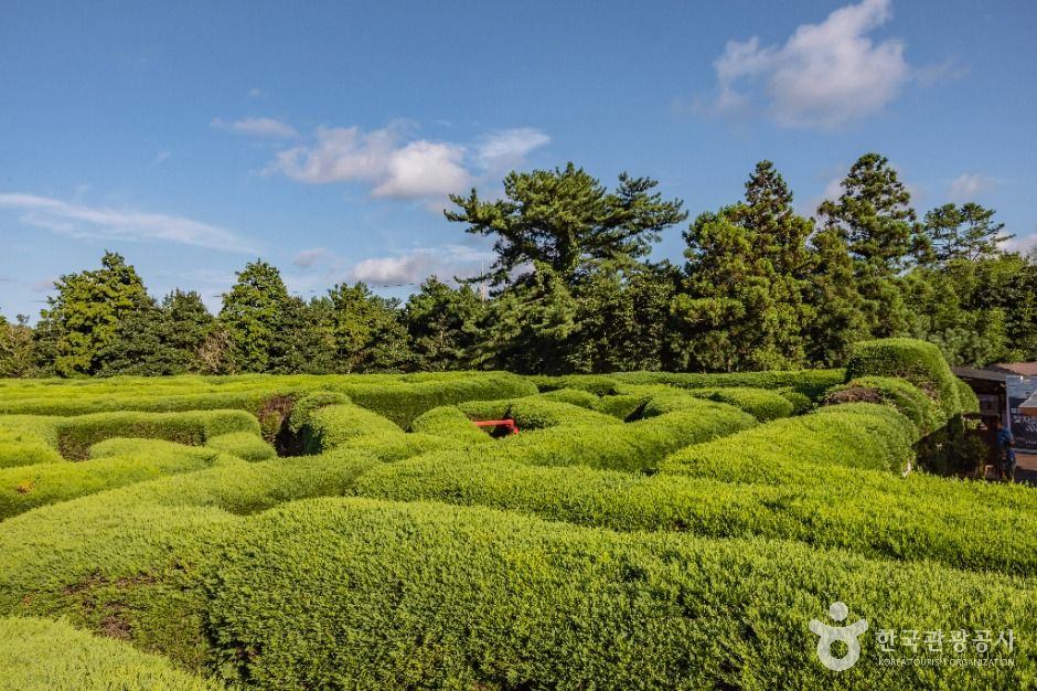 제주 김녕미로공원 이미지 2
