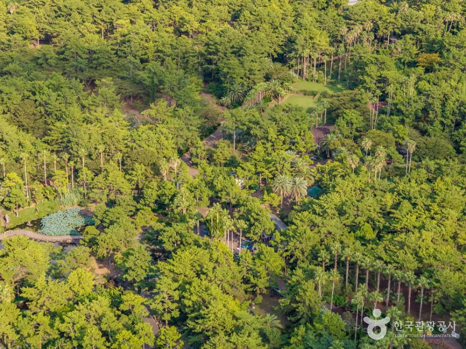 제주 한림공원 이미지 5