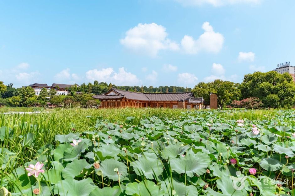 전주 덕진공원 이미지 8