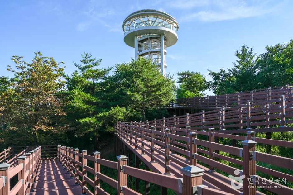 예천 소백산 하늘자락공원 이미지 3