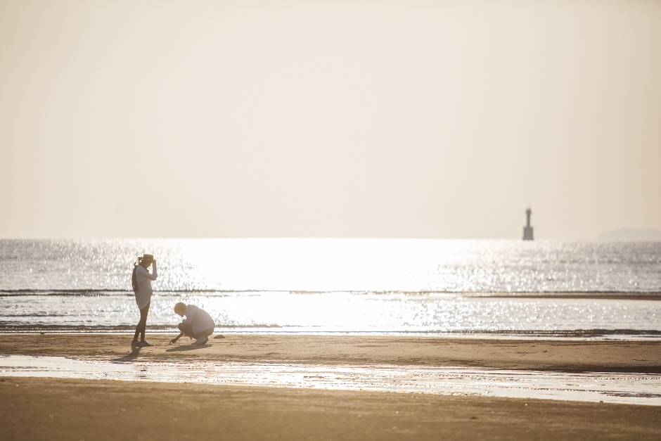 옹진군 덕적도 갈대 군락지 이미지 5