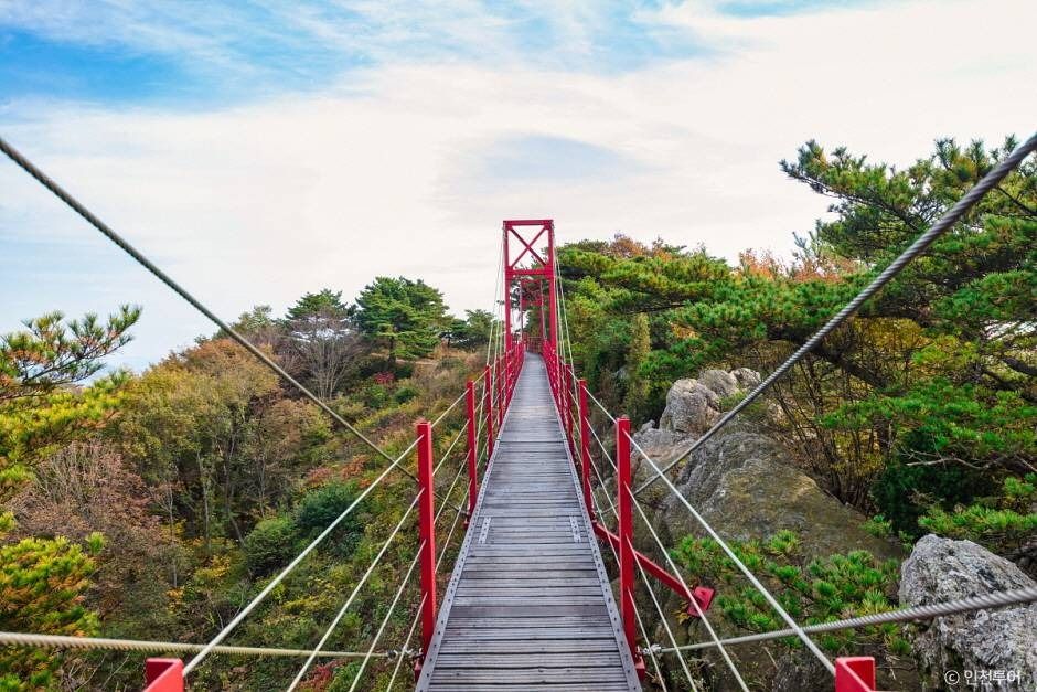 옹진 부아산 구름다리 이미지 1