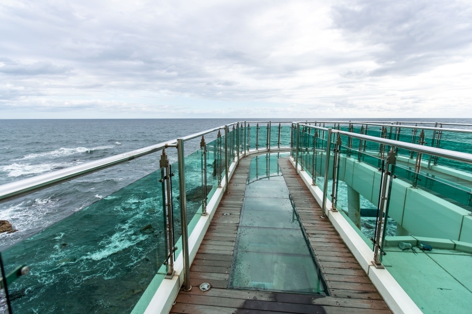 양양 남애항 스카이워크 전망대 이미지 2