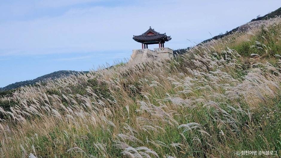 합천 황매산 억새군락지 이미지 4