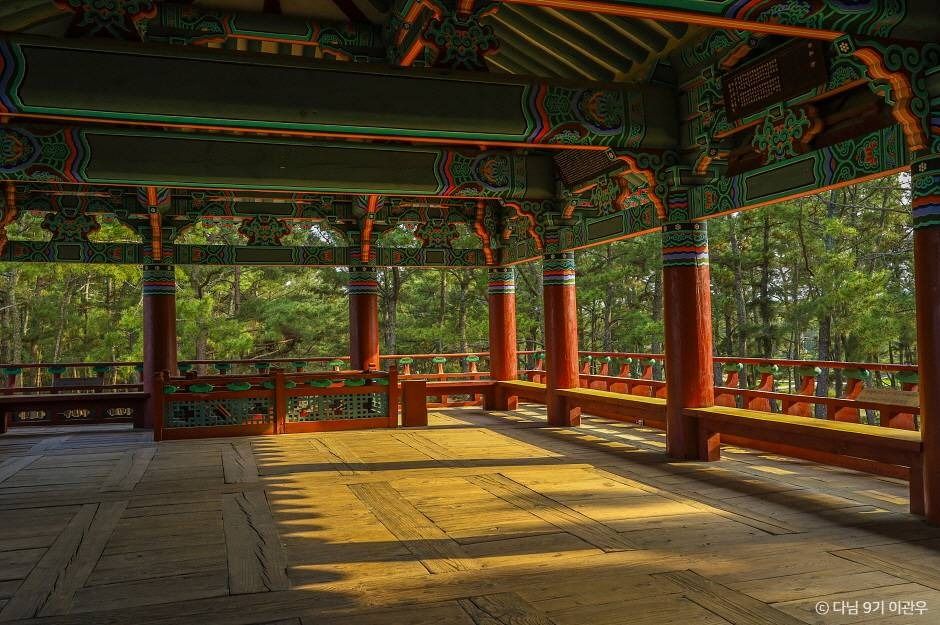 월송정 이미지 2