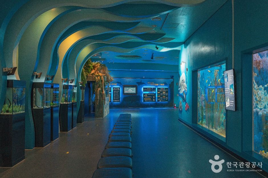 울산 장생포 고래생태체험관 이미지 4