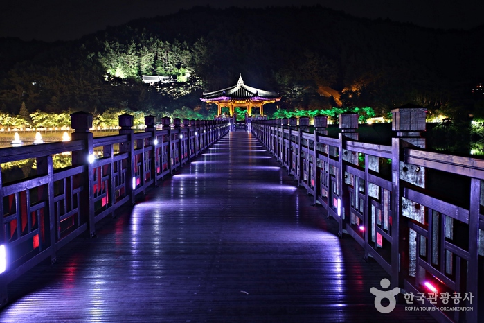 안동 월영교 이미지 5