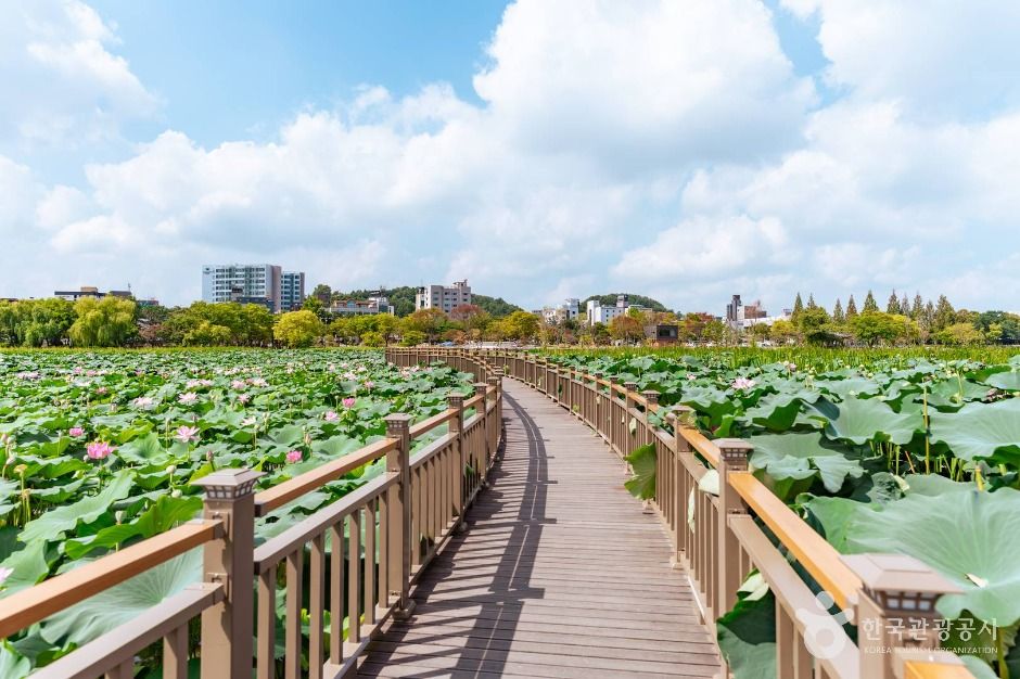 전주 덕진공원 이미지 2