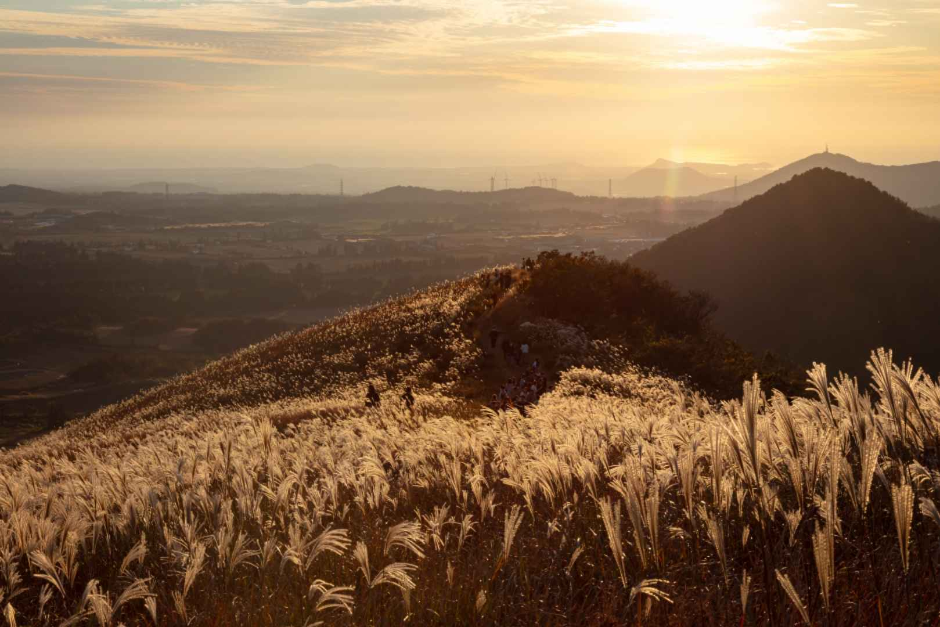 새별오름 이미지 4