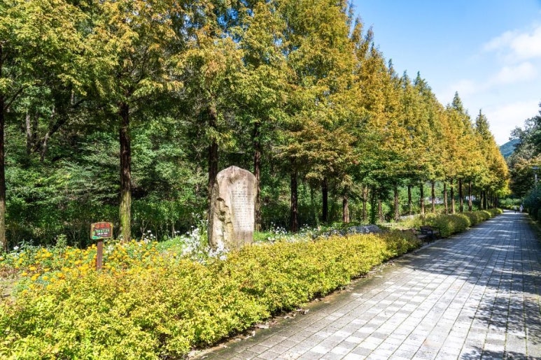 보령 무궁화수목원 이미지 6