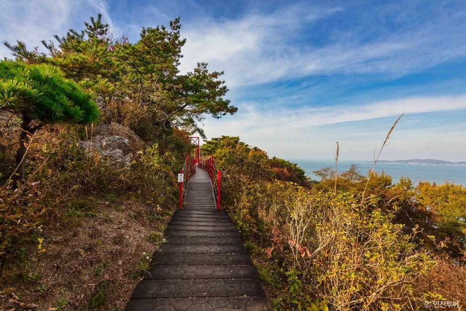 옹진 부아산 구름다리 이미지 3