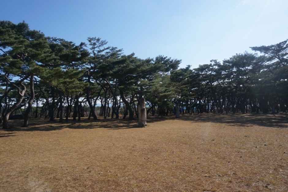 경주 흥덕왕릉 이미지 5