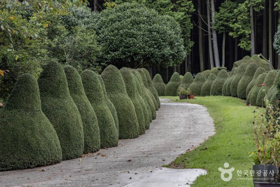 남해 토피아랜드 이미지 6