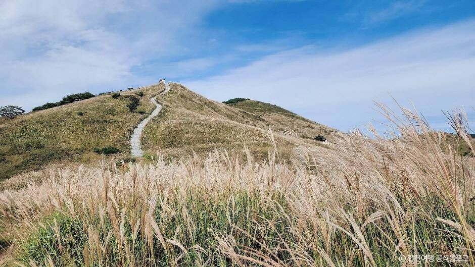 합천 황매산 억새군락지 이미지 3