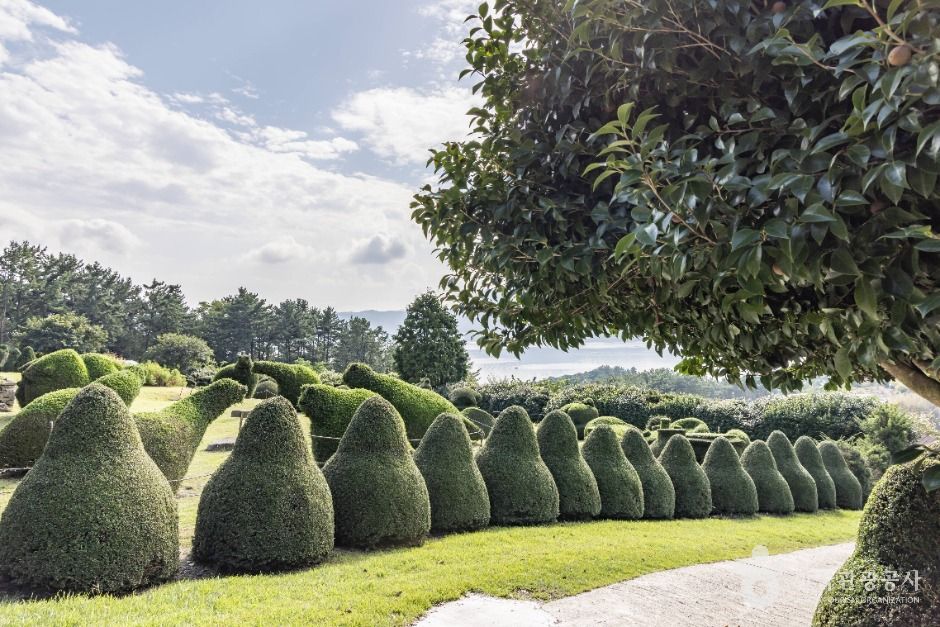 남해 토피아랜드 이미지 2