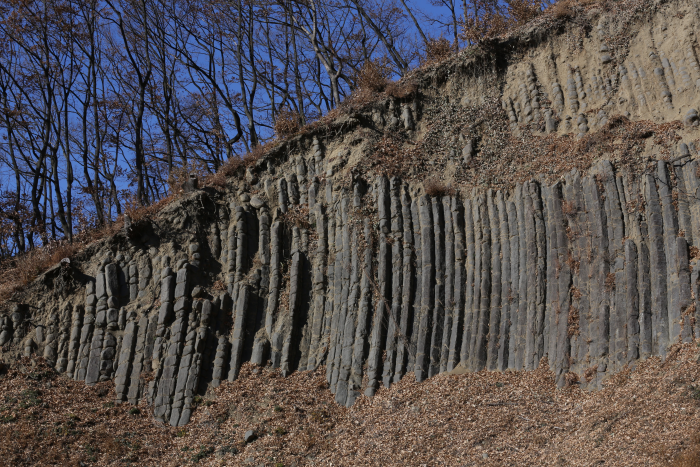 달전리 주상절리 (경북 동해안 국가지질공원) 이미지 2