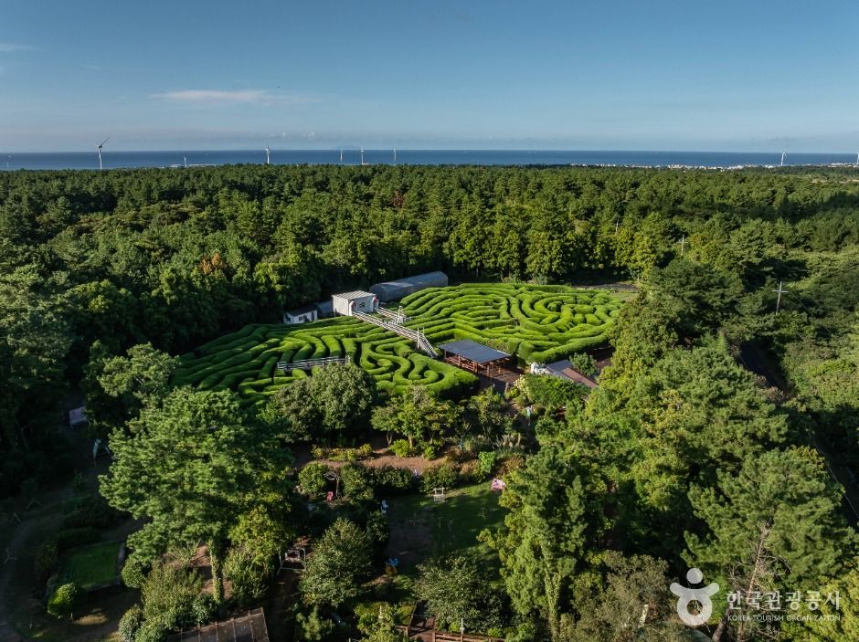 제주 김녕미로공원 이미지 4