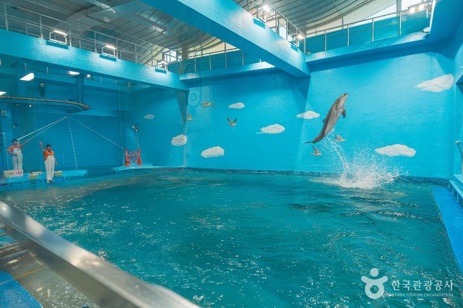 울산 장생포 고래생태체험관 이미지 2