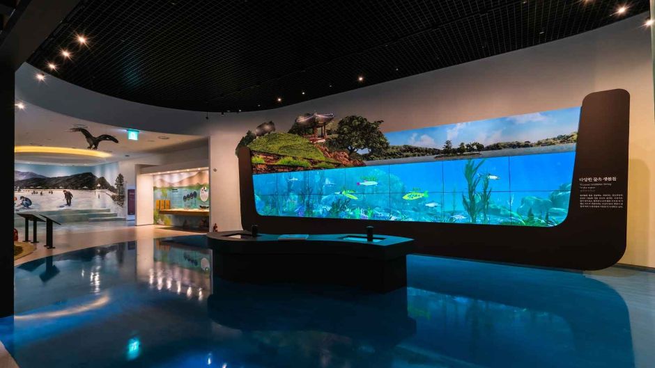 제천 의림지 역사박물관 이미지 4