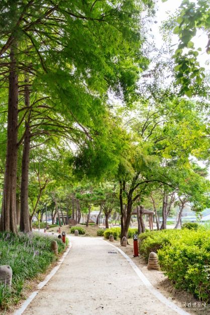 전주 덕진공원 이미지 4