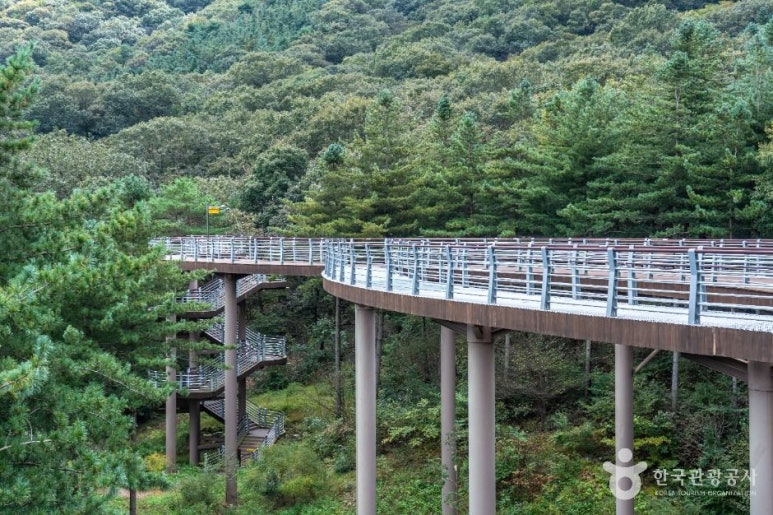 보령 무궁화수목원 이미지 7