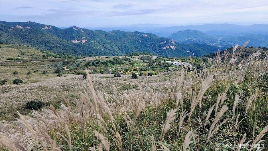 합천 황매산 억새군락지 이미지 1